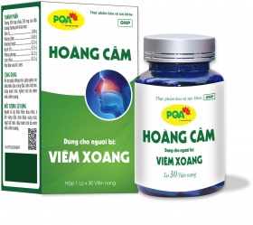 PQA Hoàng Cầm viên nang